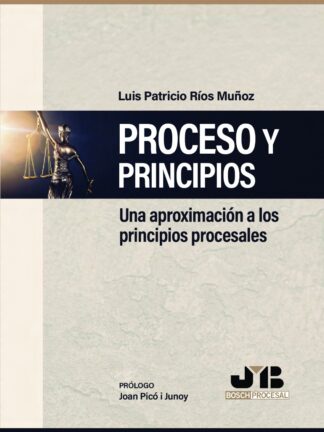 Proceso y principios. Una aproximación a los principios procesales