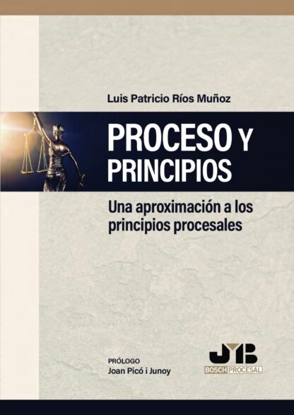 Proceso y principios. Una aproximación a los principios procesales