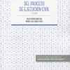 Teoría y práctica del proceso de ejecución civil