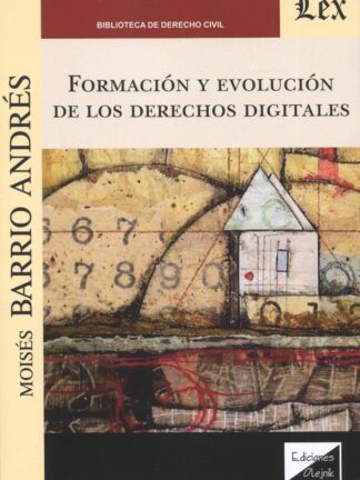 Formación y evolución de los derechos digitales