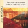 Estudio de Derecho penal y procesal penal -0