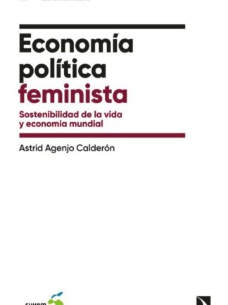Economía política feminista. Sostenibilidad de la vida y economía mundial