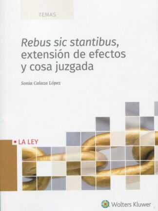 Rebus sic stantibus, extensión de efectos y cosa juzgada