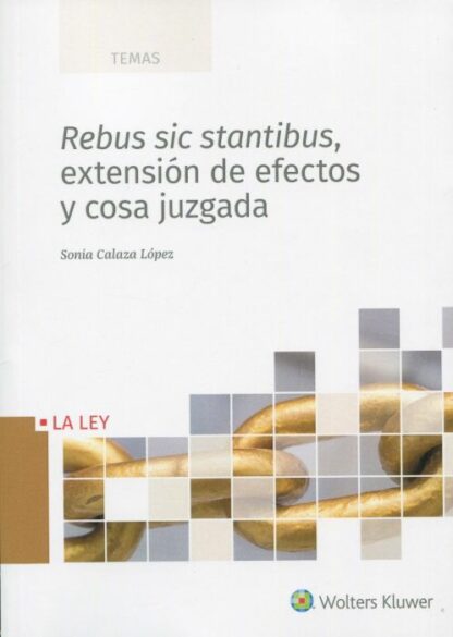 Rebus sic stantibus, extensión de efectos y cosa juzgada