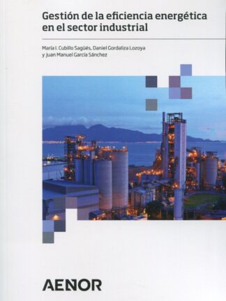 Gestión de la eficiencia energética en el sector industrial
