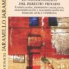 La modernización del Derecho privado. Codificación, dispersión legislativa, descodificación y recodificación del Derecho civil y comercial-0