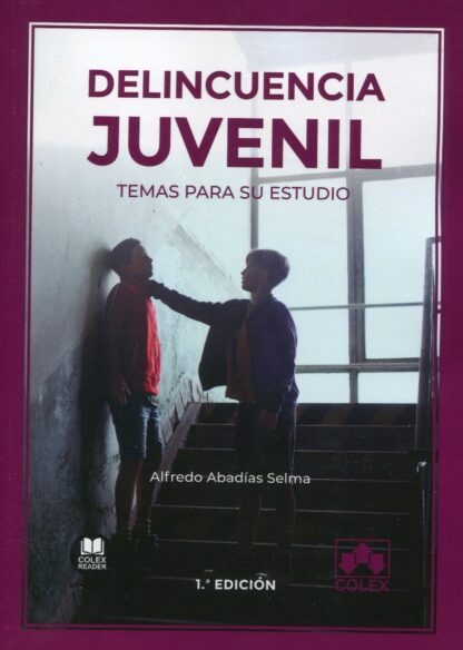 Delincuencia juvenil. Temas para su estudio