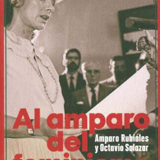 Al amparo del feminismo. Conversaciones entre Amparo Rubiales y Octavio Salazar