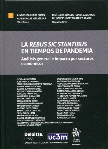 Rebus Sic Stantibus en tiempos de pandemia: Análisis general e impacto por sectores económicos