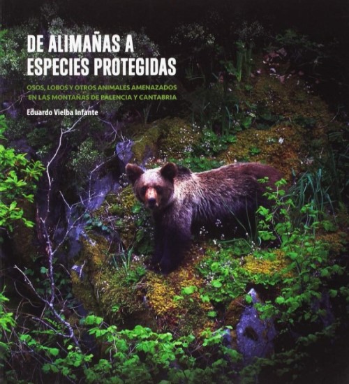 De alimañas a especies protegidas. Osos, lobos y otros animales amenazados en las montañas de Palencia y Cantabria-0