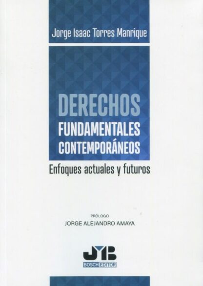 Derechos fundamentales contemporáneos. Enfoques actuales y futuros