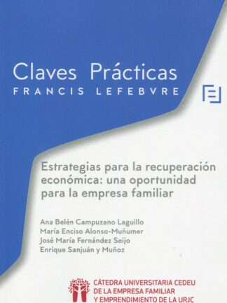 Estratégias para la recuperación económica: una oportunidad para la empresa familiar
