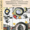 Derecho a la democracia y reelección presidencial indefinida. Tres estudios