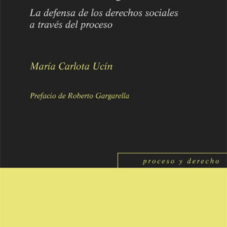 Juicio a la desigualdad. La defensa de los derechos sociales a través del proceso