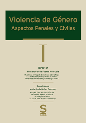 VIOLENCIA GÉNERO PENALES CIVILES