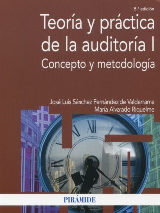 Teoría y práctica de la auditoria I. Concepto y metodología