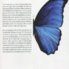 La desaparición de las mariposas y sus consecuencias para el mundo en que vivimos -69819