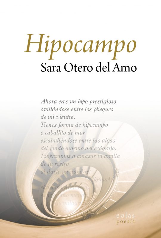 Hipocampo -0