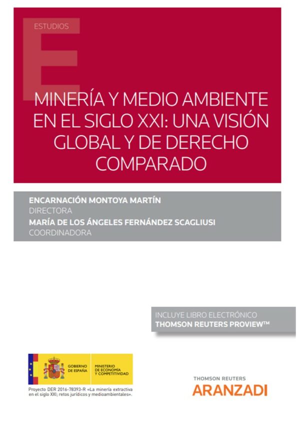 MINERIA Y MEDIO AMBIENTE EN EL SIGLO XXI-9788413456638