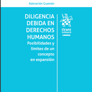 Diligencia debida en Derechos Humanos. Posibilidades y límites de un concepto en expansión
