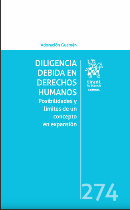 Diligencia debida en Derechos Humanos. Posibilidades y límites de un concepto en expansión