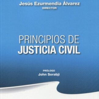 Principios de justicia civil