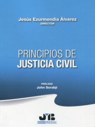 Principios de justicia civil