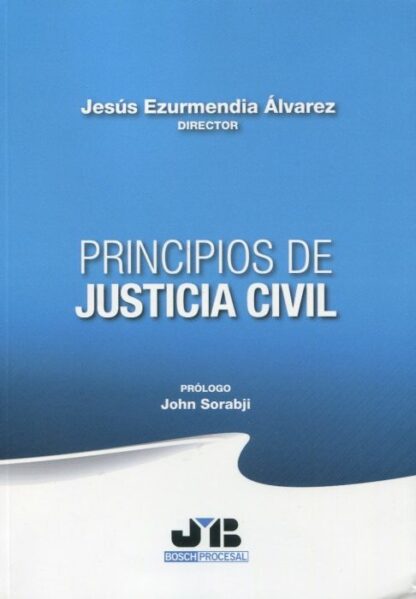 Principios de justicia civil