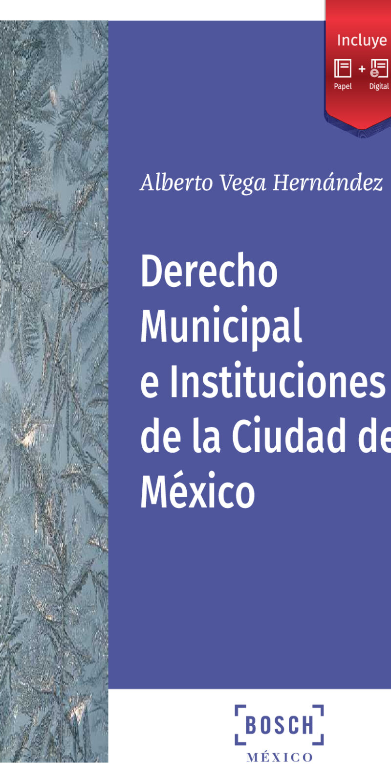 Derecho municipal Ciudad México