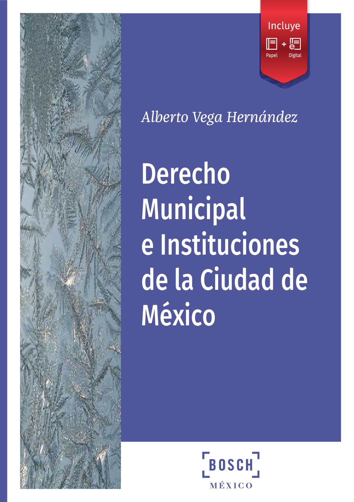 Derecho municipal Ciudad México