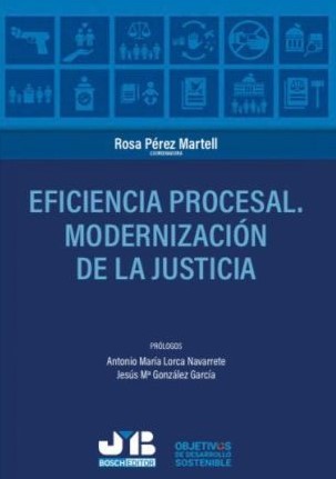 Eficiencia procesal Modernización de la justicia