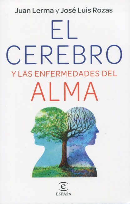 El cerebro y las enfermedades del alma