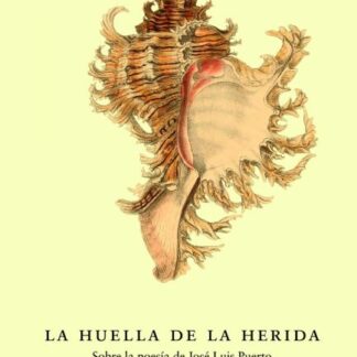 Huella de la herida. Sobre la poesía de Jose Luis Puerto