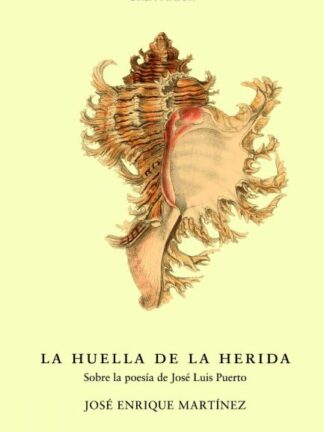 Huella de la herida. Sobre la poesía de Jose Luis Puerto