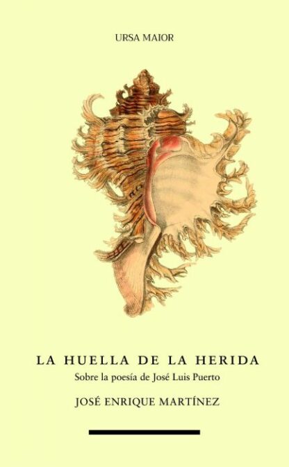 Huella de la herida. Sobre la poesía de Jose Luis Puerto