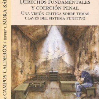 Derechos fundamentales y coerción penal. Una visión crítica sobre temas claves del sistema punitivo