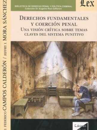 Derechos fundamentales y coerción penal. Una visión crítica sobre temas claves del sistema punitivo