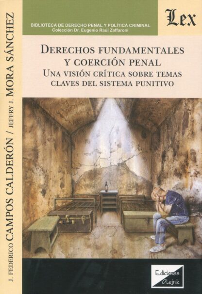 Derechos fundamentales y coerción penal. Una visión crítica sobre temas claves del sistema punitivo