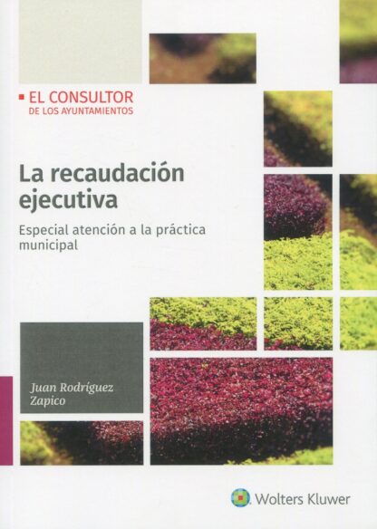 Recaudación ejecutiva. Especial atención a la práctica municipal