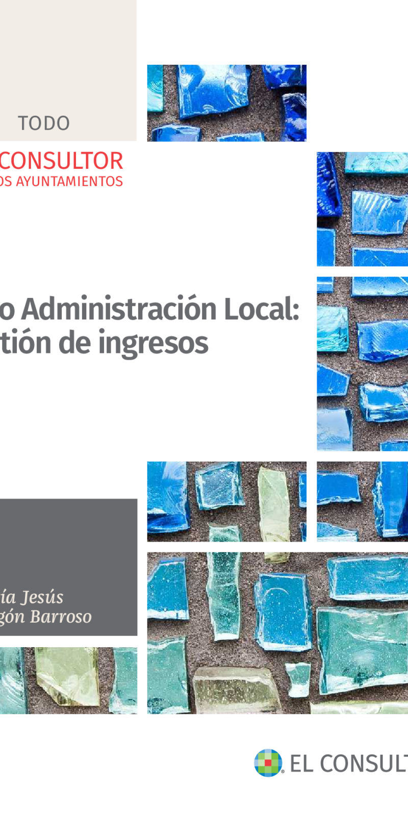 TODO ADMINISTRACION LOCAL GESTION INGRESOS Herramienta de consulta completa y detallada sobre la gestión de los ingresos en el ámbito local