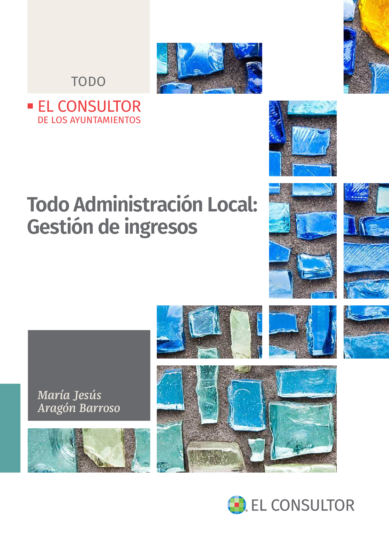TODO ADMINISTRACION LOCAL GESTION INGRESOS Herramienta de consulta completa y detallada sobre la gestión de los ingresos en el ámbito local