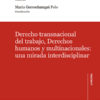 Derecho transnacional del trabajo, derechos humanos y multinacionales: una mirada interdisciplinar-0