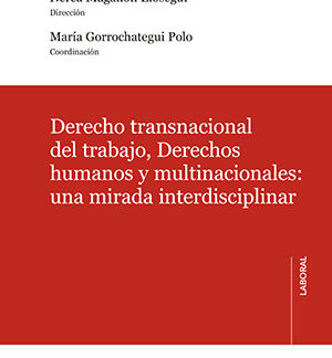 Derecho transnacional del trabajo, derechos humanos y multinacionales: una mirada interdisciplinar