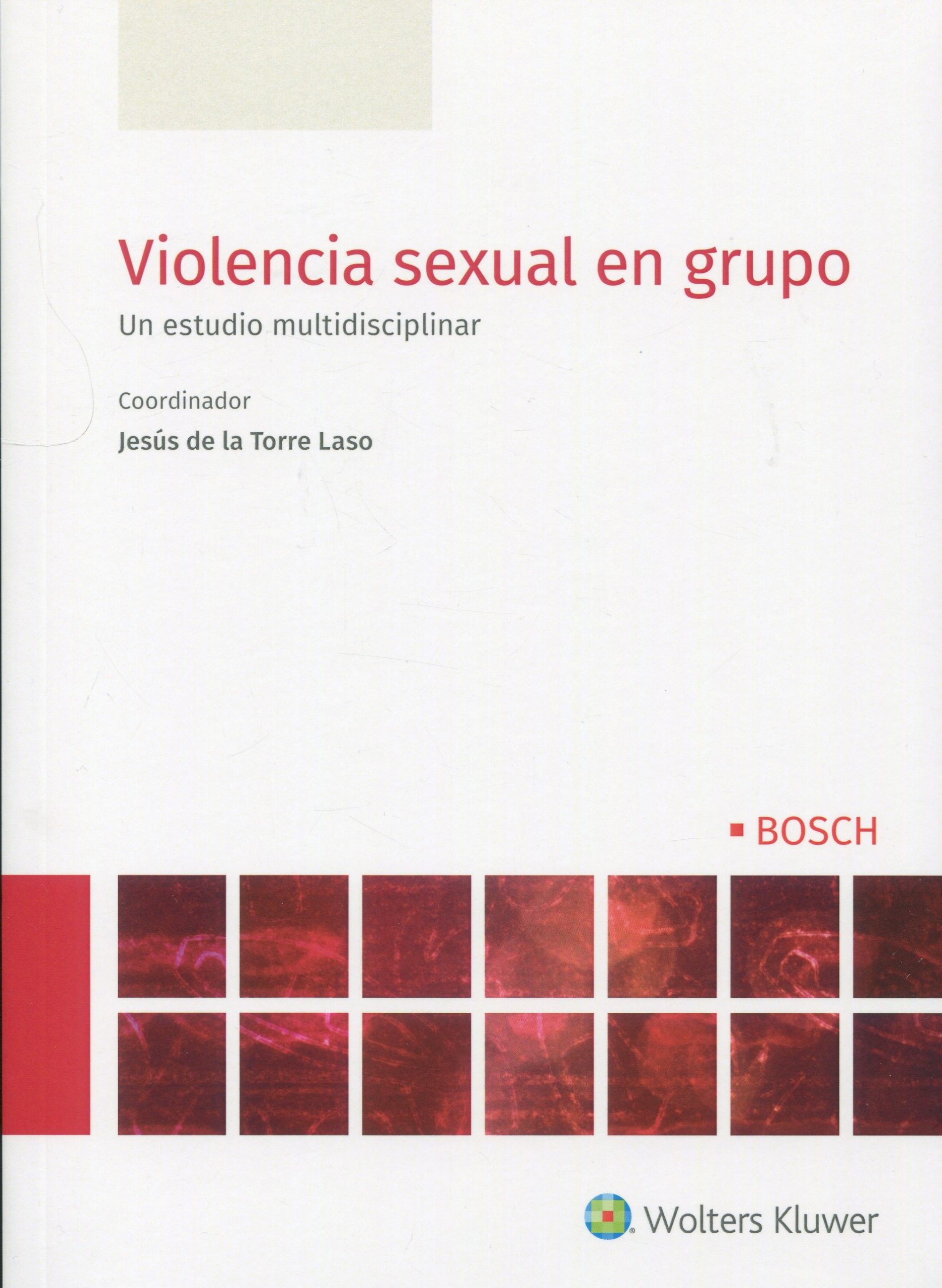 Violencia sexual en grupo9788490906057