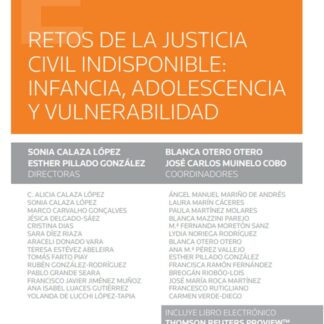 Retos de la justicia civil indispensable: infancia, adolescencia y vulnerabilidad