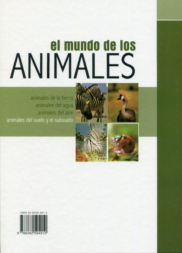 Animales del suelo y el subsuelo. El mundo de los animales -75653