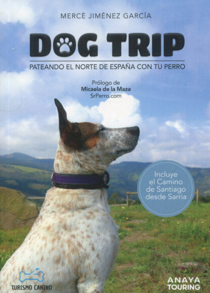 Dog trip. Pateando el norte de España con tu perro
