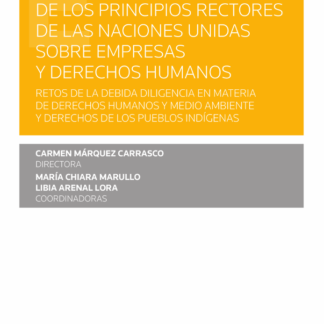 El 10º Aniversario de los principios rectores de las Naciones Unidas sobre empresas y derechos humanos