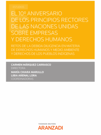 El 10º Aniversario de los principios rectores de las Naciones Unidas sobre empresas y derechos humanos