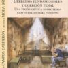 Derechos fundamentales y coerción penal. Una visión crítica sobre temas claves del sistema punitivo-0